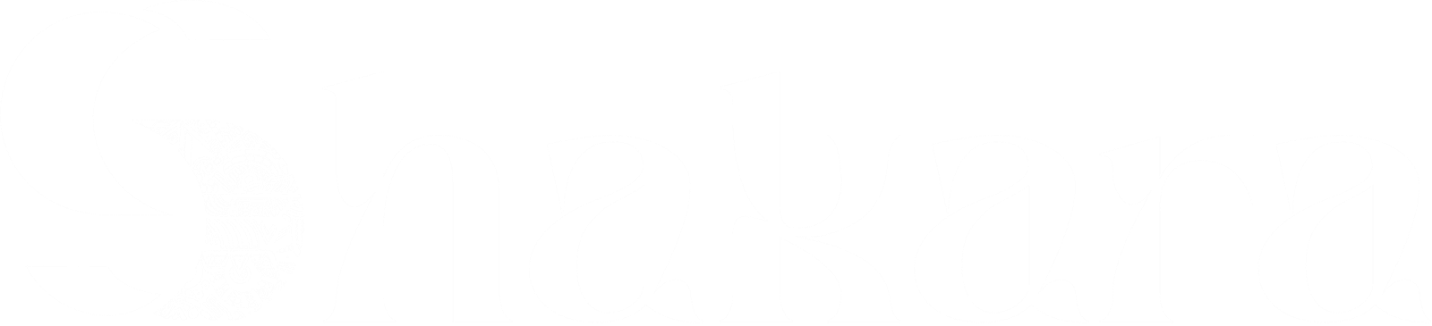 Logo White